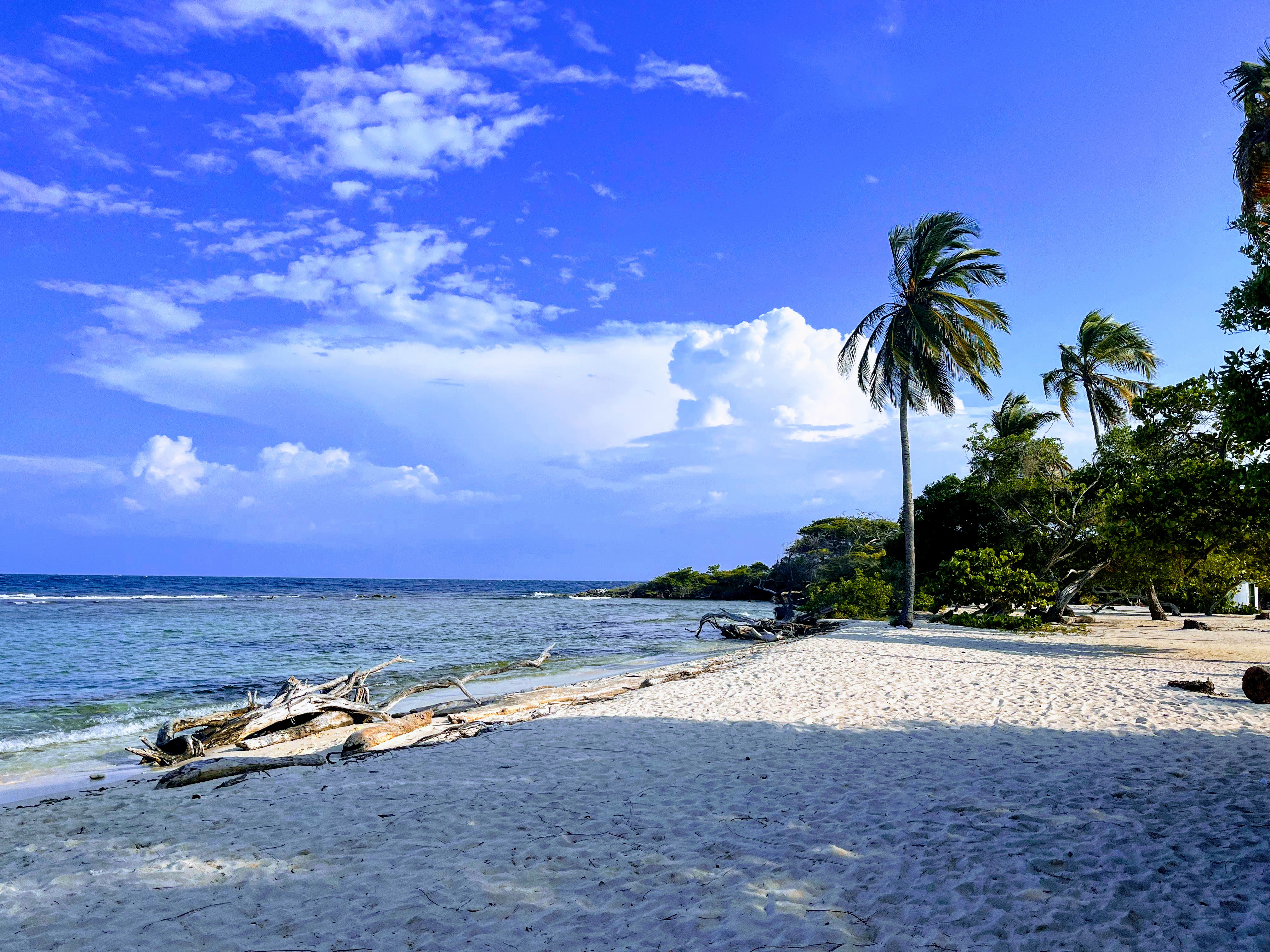 Parque Nacional Morrocoy 7